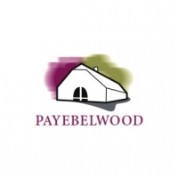 www.payebel.nl